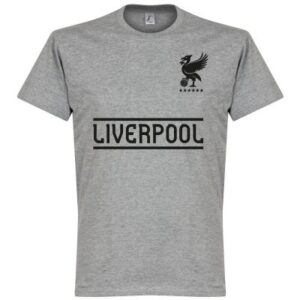 Liverpool Retake Grey Mane 19